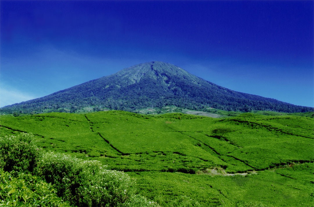 Gunung Dempo